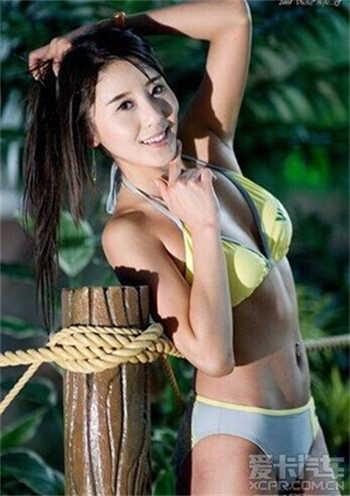 91茶馆儿网页版