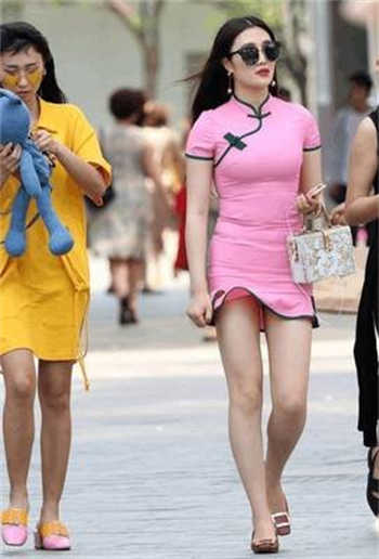 猫咪的地址是多少贴吧