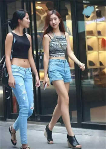禽兽日记小说