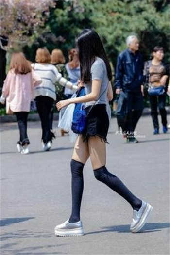 小金龙小说