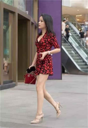 关于猫的唯美简短句子
